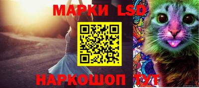 a pvp Бугуруслан